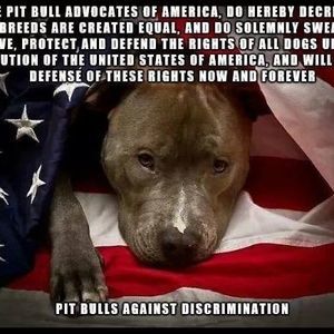 Meet your Posher, Vicki